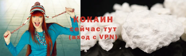 мдпв Долгопрудный