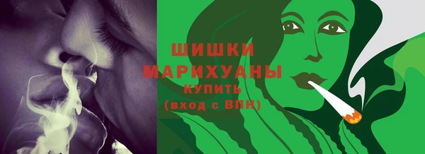 мдпв Долгопрудный