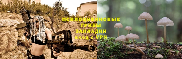 трава Новый Уренгой
