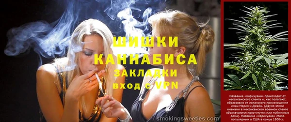 мдпв Долгопрудный
