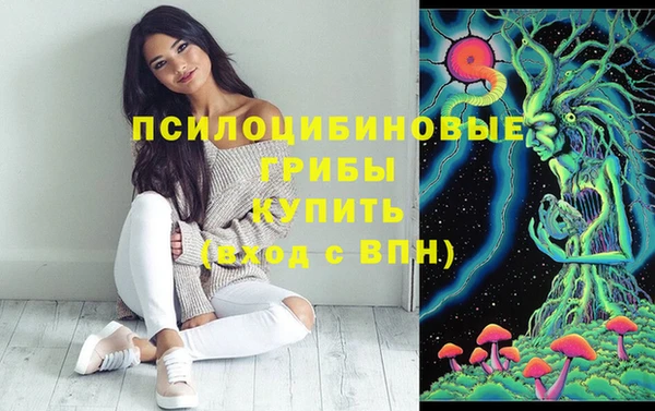 мдпв Долгопрудный